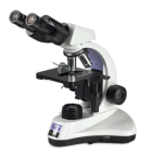 DX21