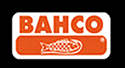 Bacho